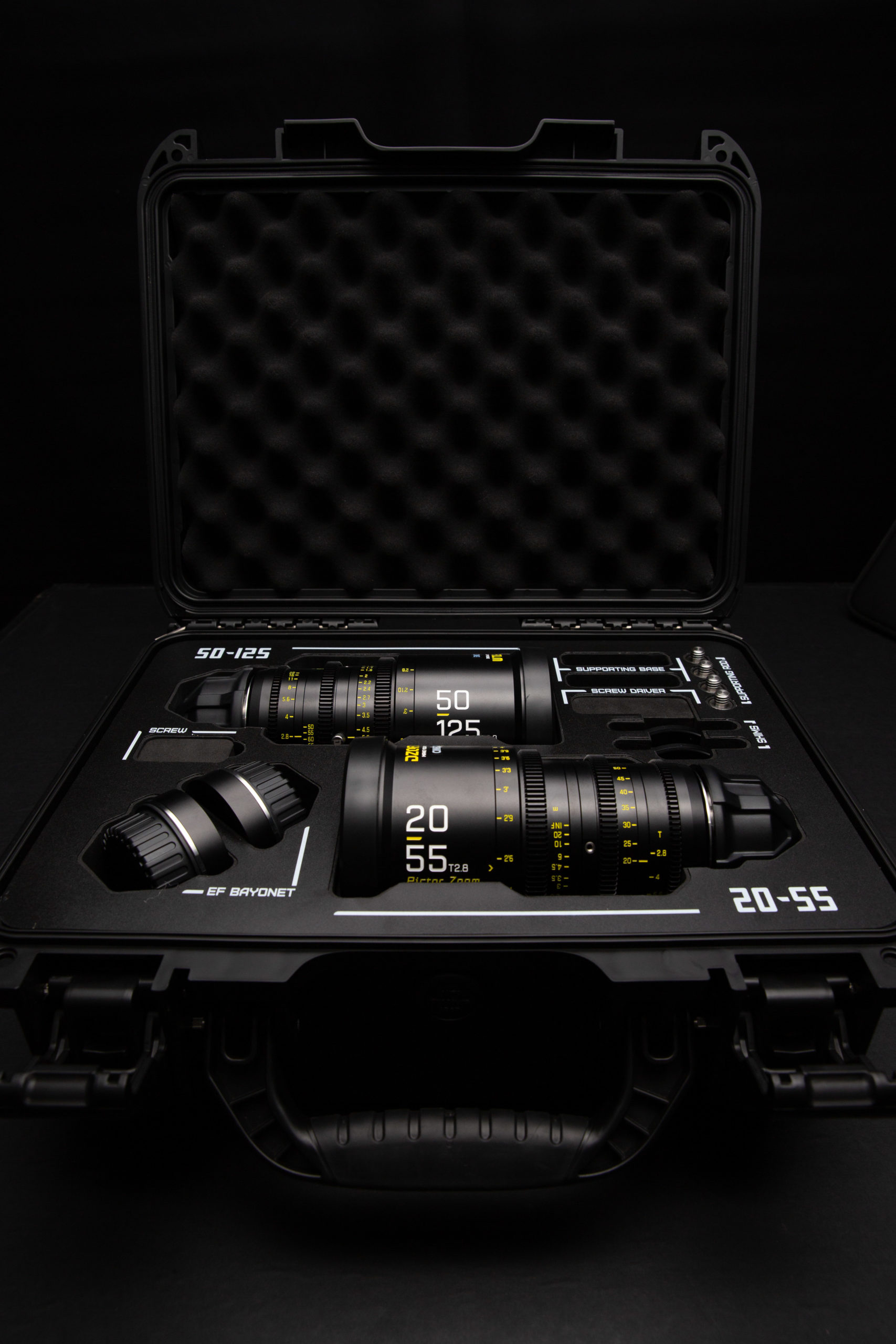 dzo_film_pictor_zoom_20-55_t29_mieten_leihen_1